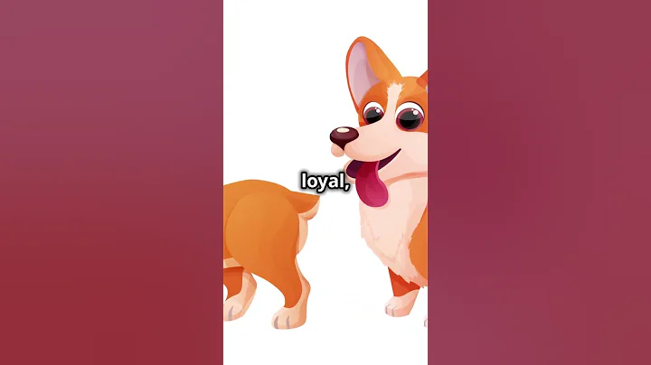 Why Queen Elizabeth Loved Corgis!