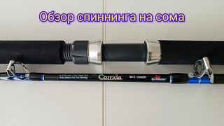 Спиннинг на сома