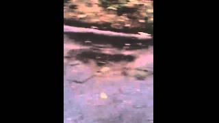 Вечер ▶ Mary Leest Вечер ▶ Mary Leest
