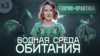 видео: ВОДНАЯ СРЕДА ОБИТАНИЯ 3/6 | Обитатели водной среды: планктон, нектон и бентос | ЕГЭ-2025 по биологии картинка: ВОДНАЯ СРЕДА ОБИТАНИЯ 3/6 | Обитатели водной среды: планктон, нектон и бентос | ЕГЭ-2025 по биологии