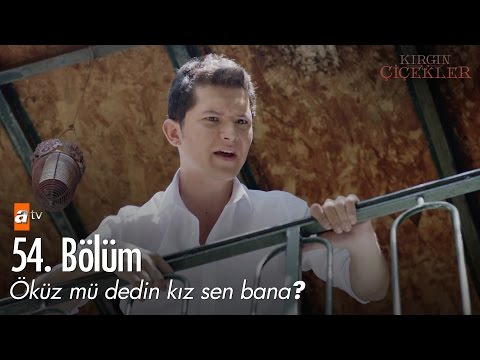 Öküz mü dedin kız sen bana? - Kırgın Çiçekler 54. Bölüm - atv