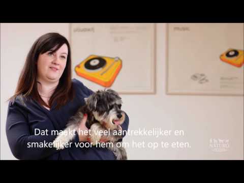 Video: De Oudere Hond Voeren