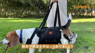 LOOBANI 犬 ハーネス 老犬の前足と後足の補助 介護 リハビリにも利用可能 安定調節ショルダーストラップ付 調節可能な排尿穴のデザインの底 メッシュを使用 T字型のデザイン 均一な力