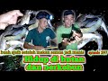 pesta ikan malam hari menemukan buah ajaib di tengah hutan warta petani muda hidup di hutan