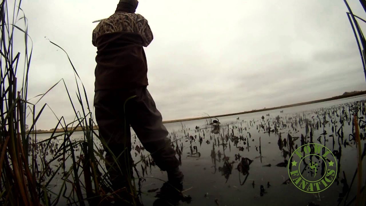 2015 North Dakota Waterfowl Duck Hunting YouTube