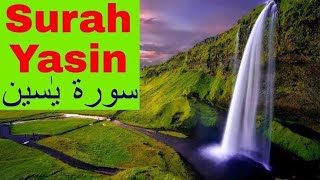 surah yaseen with urdu translation|surah yaseen with urdu translation full beautiful voice