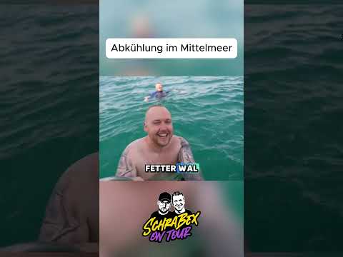 ZARBEX & SCHRADIN BADEN im OFFENEN MEER😱🌊 @zarbex #shorts #freunde #mittelmeer — Video von MAXIMALSCHRADIN auf YouTube