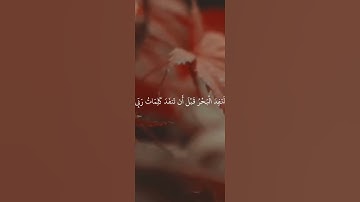 قل لو كان البحر مدادا لكلمات ربي | سورة الكهف الآية ١٠٩