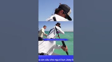 Dùng cá Đuối làm mồi câu và cái kết... (phần cuối)