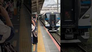 E257系特急踊り子茅ヶ崎駅高速通過