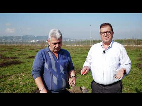 Video: Përmbajtja E Tokës Në Pemishte