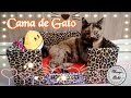 Cama de Gato/ 😺Diy/ Caminha para PET FEITA COM CAIXA DE PAPELÃO