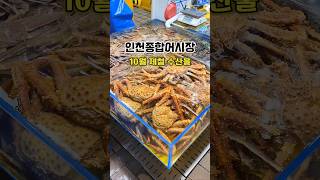 10월 11월 제철 수산물 구경은 #인천종합어시장 #인천가볼만한곳 #incheon