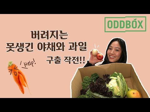 [ODD BOX][ENG SUB] 그냥 버려지는 못생긴 과일과 야채들