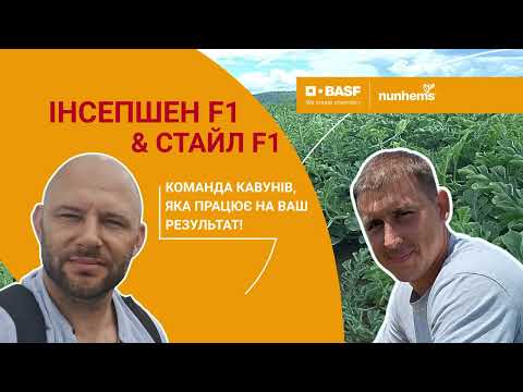 Огляд поля кавуна Стайл F1 разом із BASF | Nunhems #StyleF1 #InceptionF1 #Nunhems #basfnunhems