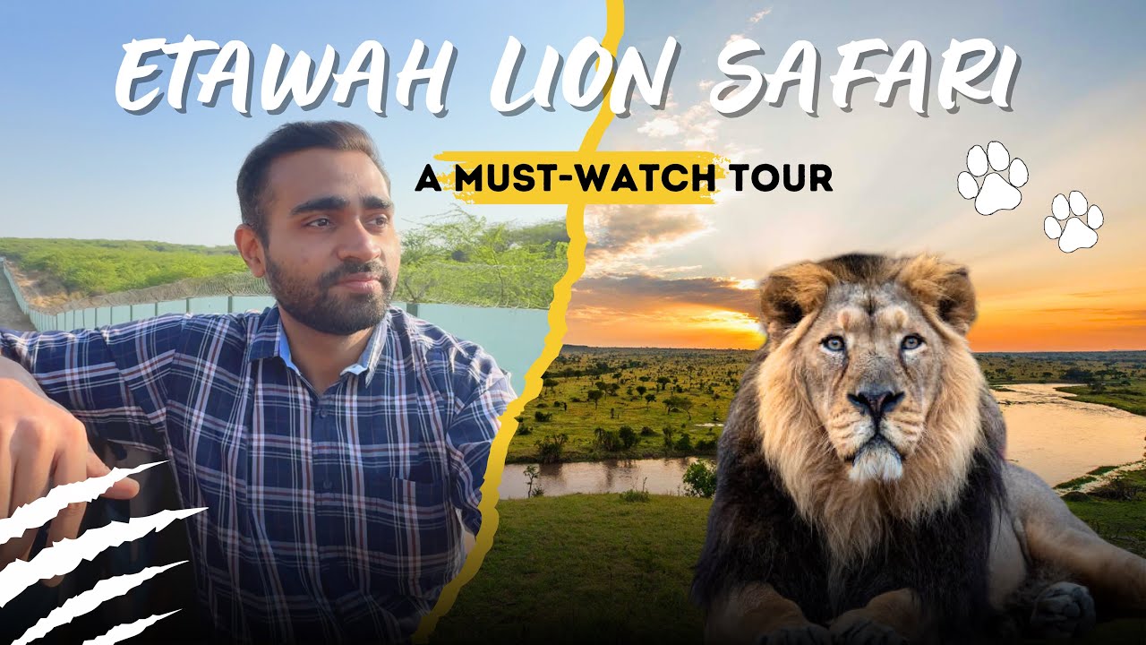Etawah Lion Safari || Best Safari in India || Safari Review, Ticket Price & Full Experience 🔥