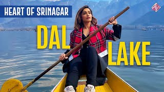 What to see at Dal Lake | Travel Vlog | Kashmir