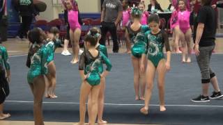 2017 Governor's Cup LA State Gymnastics Level 3 Floor