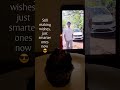 Its my birthday #viral #viralvideo #video #video #birthday #ideas #shortsideas #funny #best #travel
