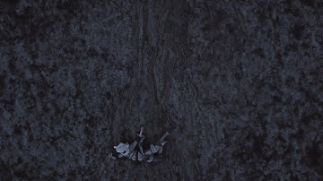 MACHUKHA - Bezpliddya (OFFICIAL VIDEO)