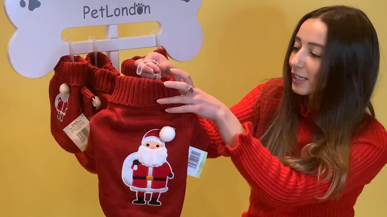 PetLondon Santa Jumper for dog