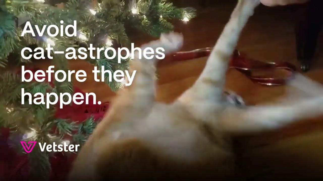 Make the holidays easier with our Pet Parent Holiday Resource Guide