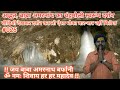 बाबा अमरनाथ बर्फानी के चंद्रमौली स्वरूप का दर्शन Baba Amarnath Yatra 6 July 2020