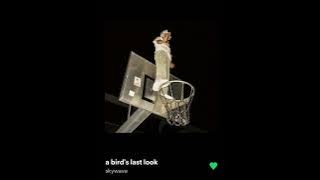 A bird's last look. The complete song.