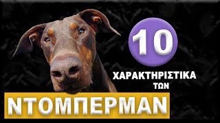 ΝΤΟΜΠΕΡΜΑΝ  10 Χαρακτηριστικά των Doberman!