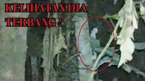 🔴 Live || Nekat Masuk Sarang Genderuwo - Ketemu pocong !!