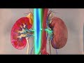 Rhabdomyolysis - Mayo Clinic