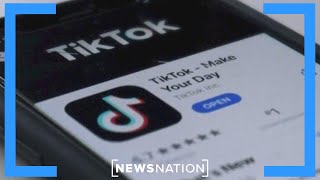 More states crack down on TikTok over cybersecurity risk | Rush Hour