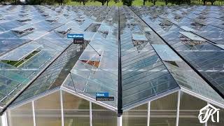Venlo greenhouse 12,80 m 9.331 m²