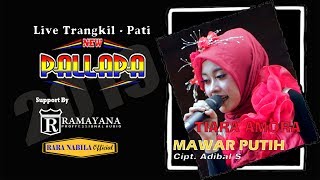 MAWAR PUTIH | Tiara Amora ft. New Pallapa | ( 🔊 Live konser terbaru 2019 )