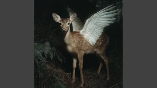 Ritual 5 — Forest Flutes