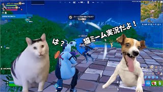 【fortnite】猫ミーム実況