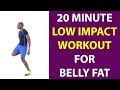 20 Minute Low Impact Workout for Belly Fat | Fat Burning Standing Beginner Workout