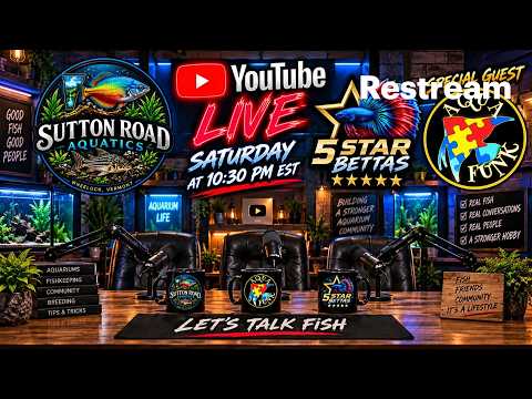 Life as a Fish Food Entrepreneur