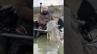 Grosso Pesce Siluro pescato dal Belly Boat