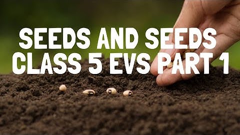 Class 5 EVS/ch-5 seeds and seeds part 1#malayalam  explanation # ncert solutions .