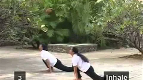 Suryanamaskar - SV150JM