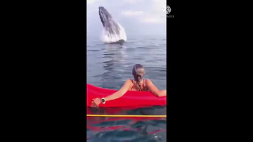 تعمل ايه لو مكانها صوت الحوت الازرق مرعب سبحان الله 