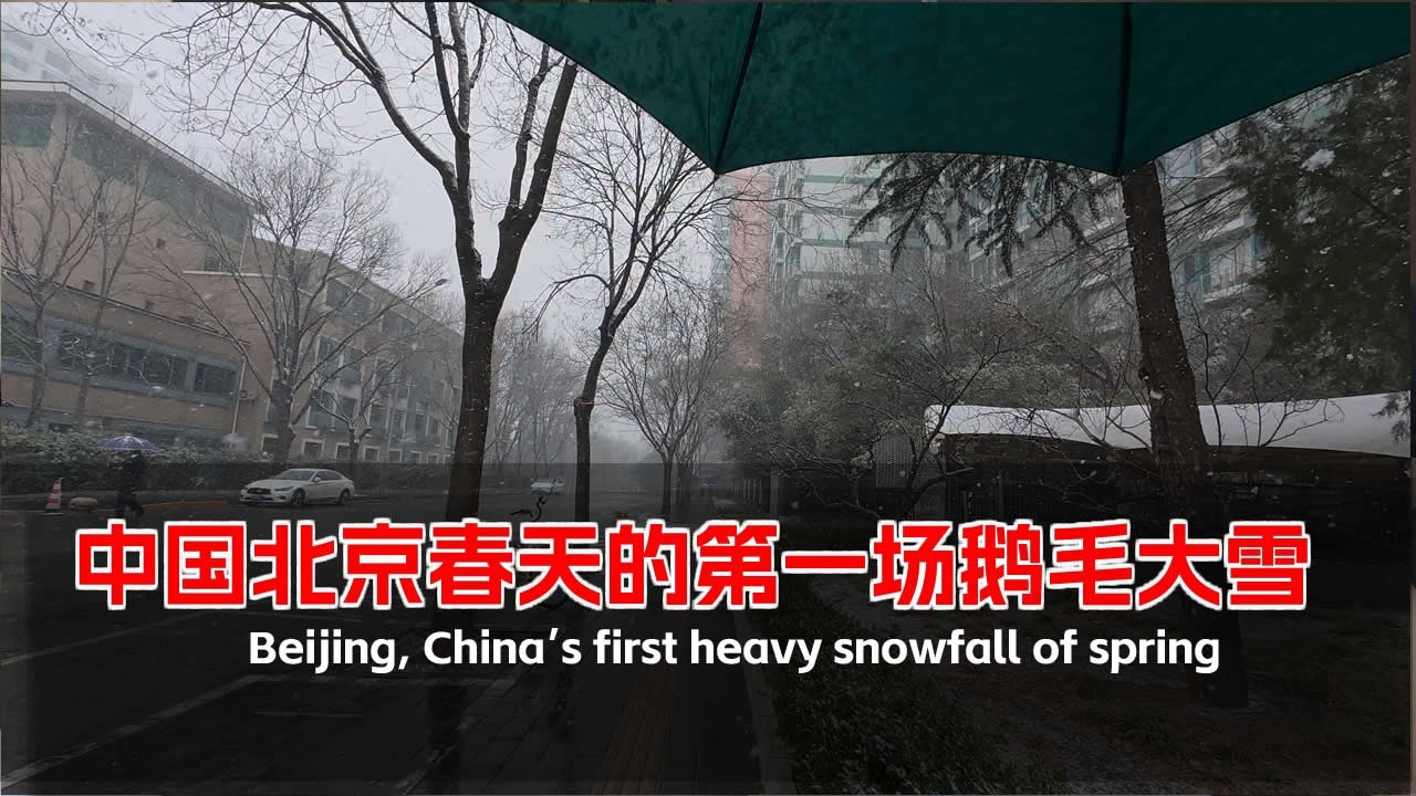 2026年3月4日中国北京的第一场鹅毛大雪 北京雪景满天| 4K | China Walking Tour by In China Walking