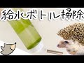 給水ボトルの洗い方！その①砂を入れて振ればきれいになるよ！