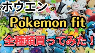 ホウエン地方のぬいぐるみ141体買ってみた ポケモンセンター ポケモンfit Youtube