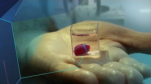 Un cœur imprimé à partir de tissu humain