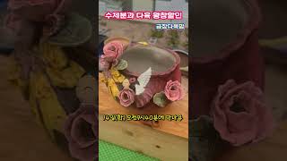October 14th #DongwhaSucculents 010-3670-4853 #SucculentsSales #PottedSale #Taeyeon #Dream #Shorts