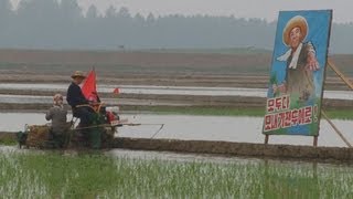 北朝鮮で田植え開始  平壌近郊の農場