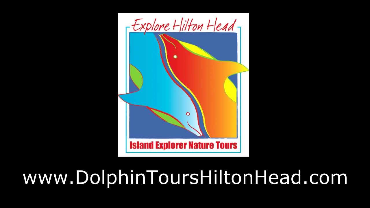 To Island Explorer Dolphin and Nature Tours Hilton Head