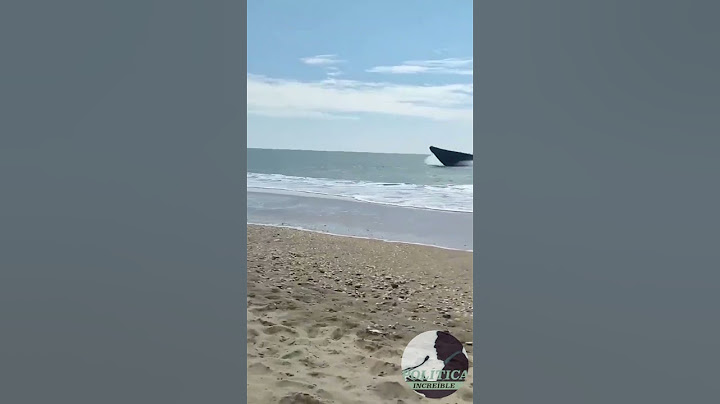 🚤 Una narcolancha llega a las costas de Huelva.
